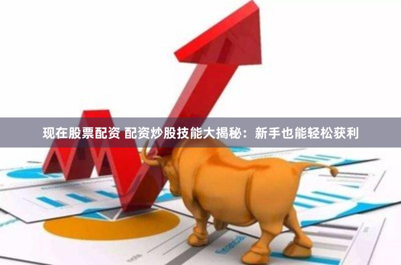 现在股票配资 配资炒股技能大揭秘：新手也能轻松获利