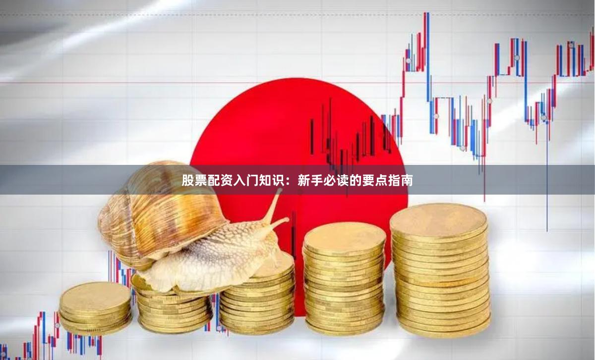股票配资入门知识：新手必读的要点指南