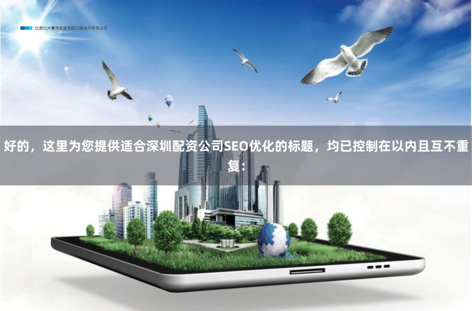 好的，这里为您提供适合深圳配资公司SEO优化的标题，均已控制在以内且互不重复：